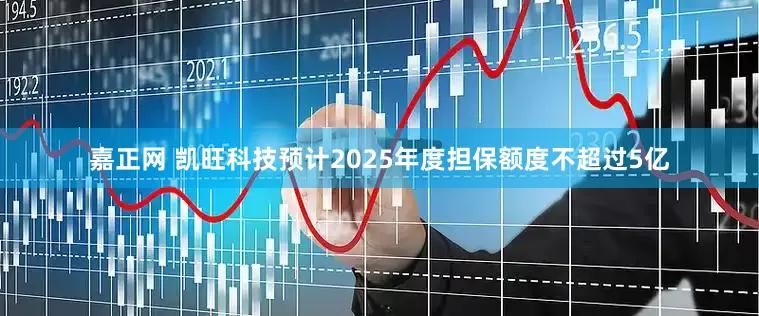 嘉正网 凯旺科技预计2025年度担保额度不超过5亿