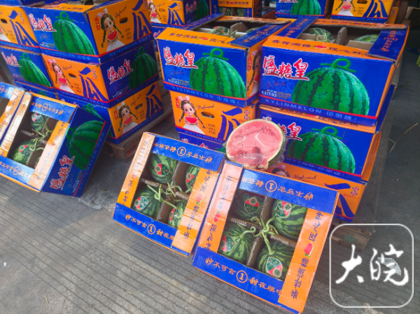 龙坤投资 大皖观察｜西瓜、葡萄进入交易高峰期  呈现量大价跌的趋势_大皖新闻 | 安徽网