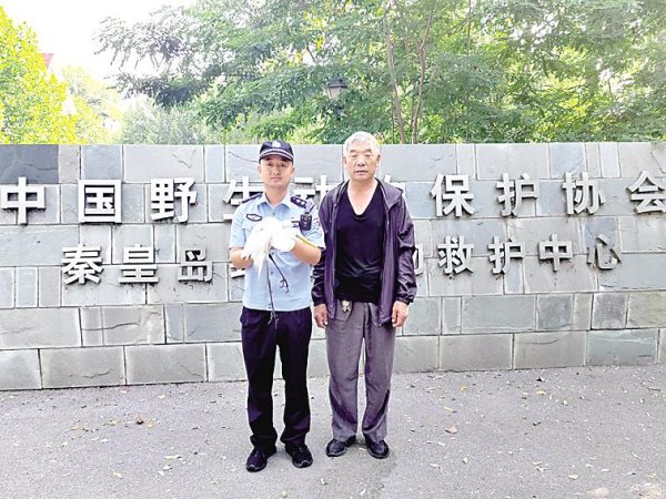 高升网 秦皇岛海防民警救助一只国家“三有”保护动物大白鹭