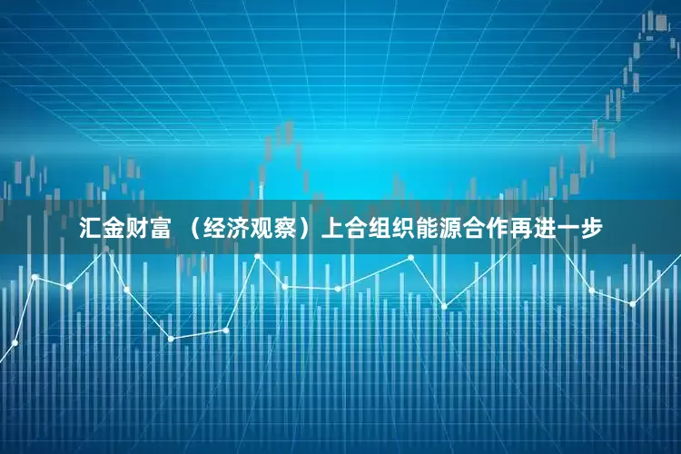 汇金财富 （经济观察）上合组织能源合作再进一步